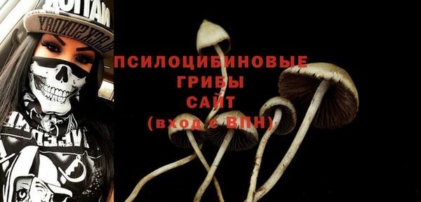 a pvp Алексеевка
