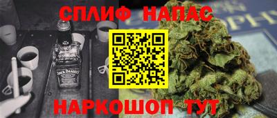 крисы Малгобек
