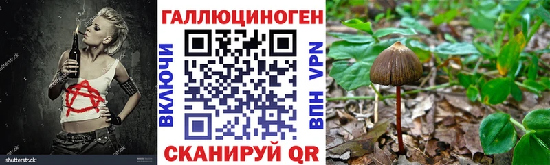 Галлюциногенные грибы Psilocybe  Кемерово 
