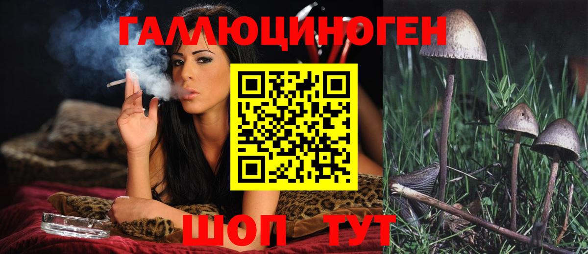 Псилоцибиновые грибы Magic Shrooms Кемерово